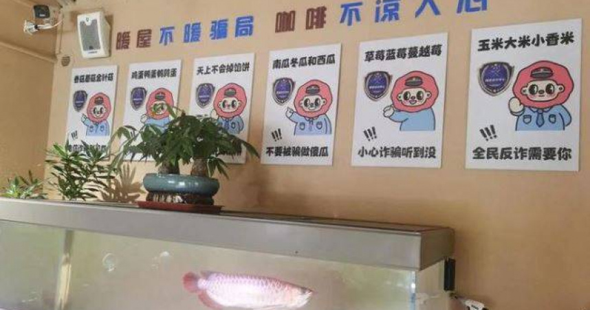 大陸江蘇省蘇州市環太湖大道附近，近日新開了一家別具特色的「反詐咖啡館」。（圖／翻攝自《揚子晚報》）