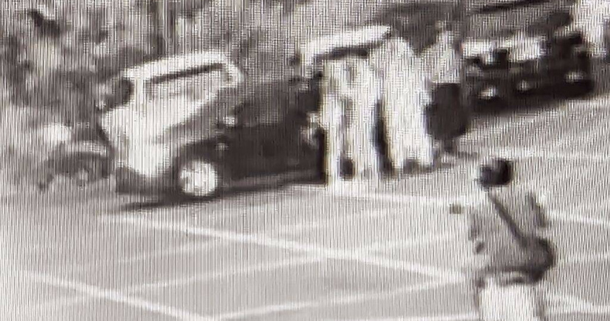 新竹竹東17歲曾姓少年遭9人凌虐致死棄屍宜蘭山區，警方在頭城山區尋獲遺體。（圖／翻攝畫面）