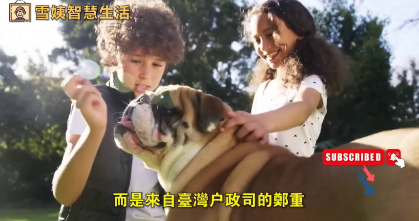 內政部今（16）日鄭重澄清，「雪姨智慧生活」頻道影片，利用內政部戶政司名義散布假消息，內政部將請相關機關依法查處。（圖／截自雪姨智慧生活YouTube頻道）