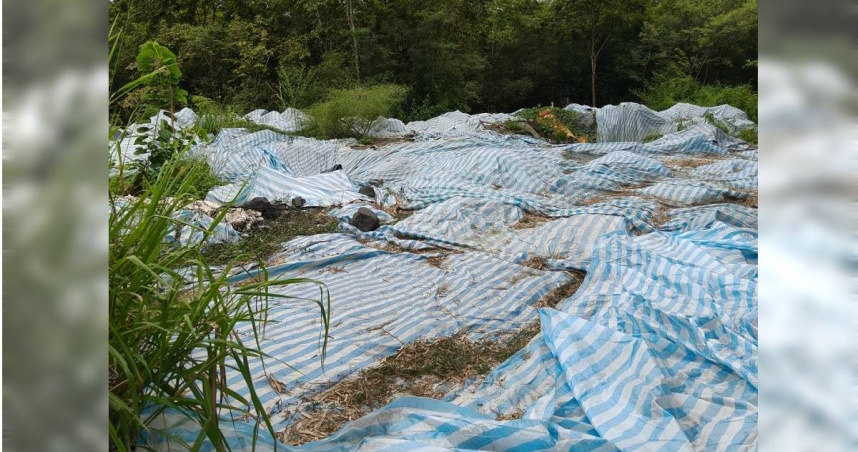 陳菁徽表示，馬頭山現場瀰漫金屬惡臭味，此情況已經超過半年，今年過年期間地方里長就發現也反應，可高市府至今無法解決，現在還責怪點出問題的人，到底是什麼邏輯？（圖／取自陳菁徽臉書）