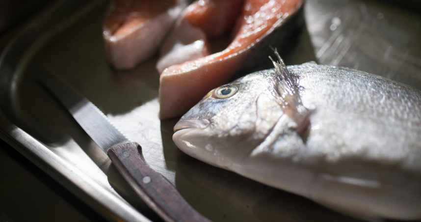 譚敦慈點出可以多攝取鯖魚。（示意圖／Pexels）