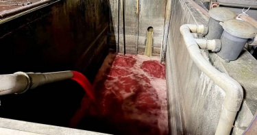 新北市泰山區福伯屠宰場，3月被抓到私設管線、排放廢水，遭環保局勒令停業。（圖／新北市環保局提供）
