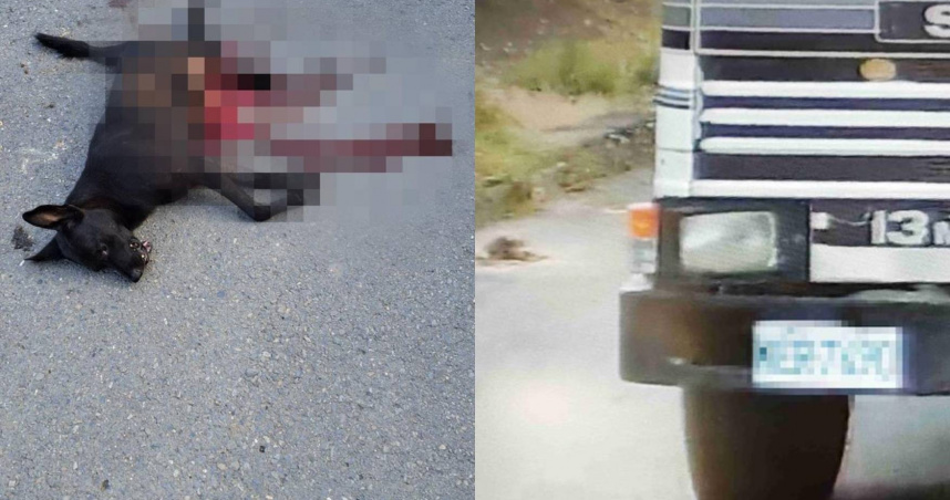 嘉義砂石車司機故意撞死小狗，反駁辯詞全遭檢察官駁回。（ 圖／翻攝畫面）