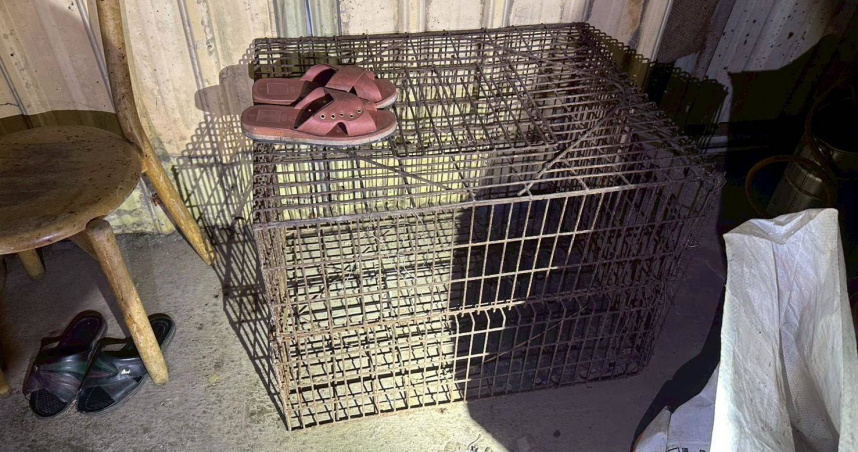 雲林縣2吳姓老翁合謀偷狗，並將其烹煮吃下肚，其中一人更是第六度犯案的慣犯。（圖／翻攝畫面）