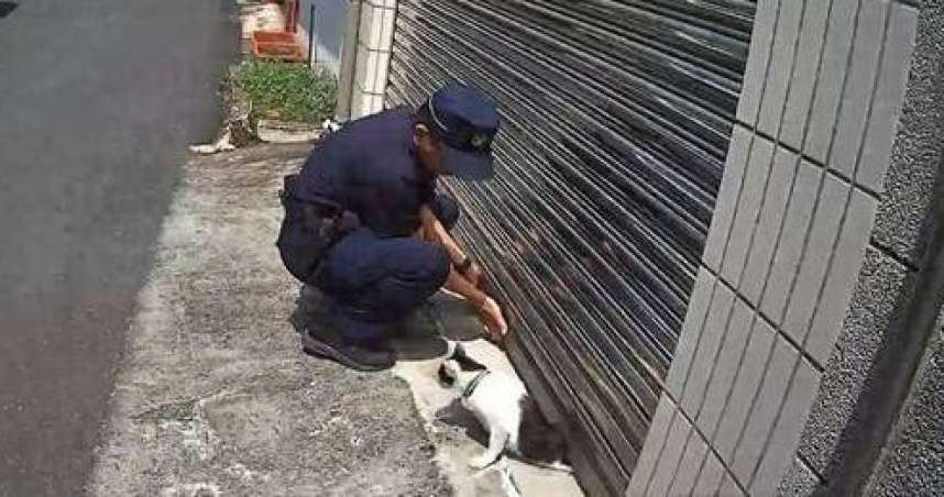 嘉義賓士貓半身慘卡鐵捲門，巡邏警徒手撐門驚險救援。（圖／翻攝畫面）