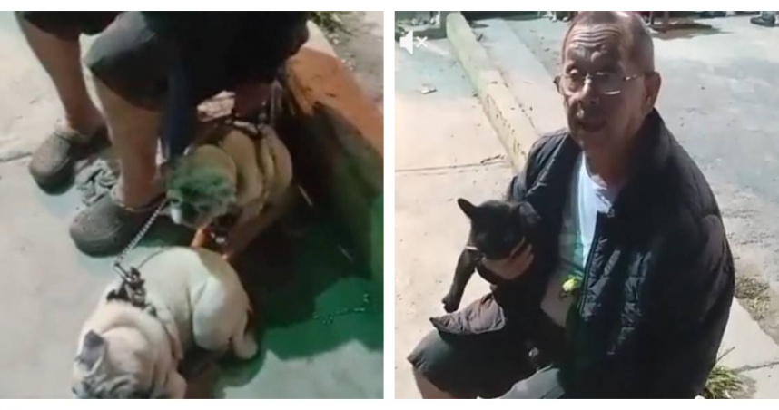 委內瑞拉強震發生後，老翁卡洛斯堅持帶著2隻愛犬、1隻黑貓及1隻鸚鵡一同撤離，暖心畫面感動無數網友。（圖／翻攝自TikTok／@carlosguerrero1708）