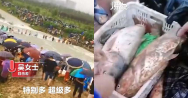 貪便宜不要命!水位暴漲數百人衝湖中撈魚…現場擺攤俗俗賣