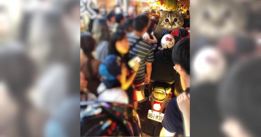 九份商家員工在人潮眾多時段騎機車按喇叭硬闖，引起國外遊客的不滿。（圖／翻攝臉書）