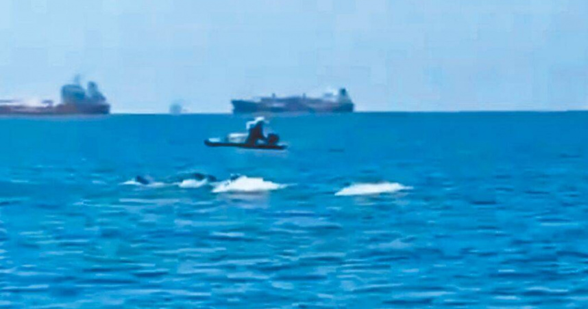 雲林縣沿海地區近日有不少白海豚出沒，漁民20日表示最近各地都在慶祝媽祖聖誕，白海豚的出現，像是在為媽祖祝壽。（圖／民眾提供／中國時報張朝欣雲林傳真）