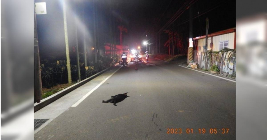 台中騎士閃狗撞電桿飼主恐吃官司。（圖／翻攝畫面）