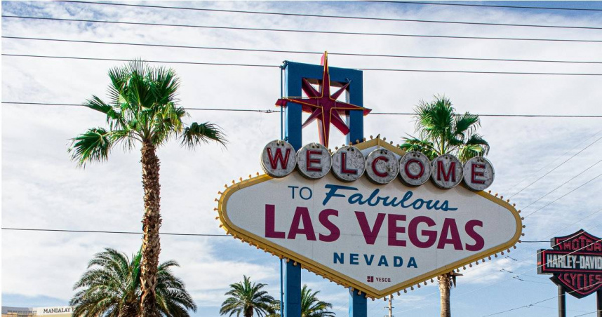 有網友發現拉斯維加斯出現牛仔帽鴿子。（示意圖／Pexels）