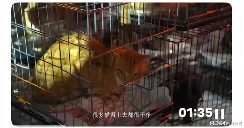 （圖／翻攝自微博）