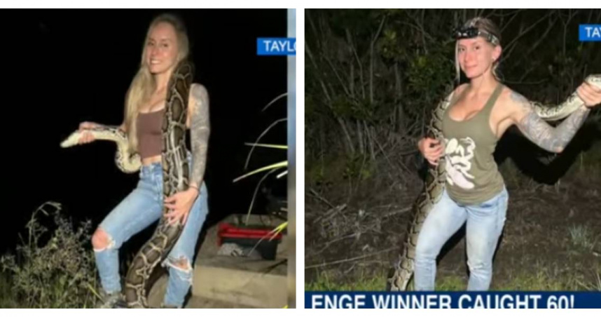 泰勒·史丹貝瑞在 2025 佛羅里達蟒蛇挑戰賽中，捕獲 60 條緬甸蟒奪得總冠軍。（圖／翻攝自WFLA News Channel 8）