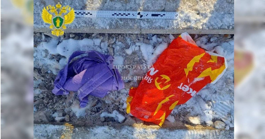 莫斯科戈利亞諾夫公園池塘內發現一個裝有男童頭顱的背包。（圖／翻攝自Moscow Prosecutor）