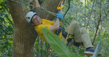 洪都拉斯只離地面大概不到一公尺，就說爬不動了。（圖／八大提供）