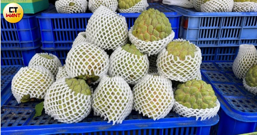 兩岸交流熱烈，像台東就有不少大目釋迦在落實田間管理、集貨場清潔及生物檢疫後，長年維持穩定銷陸管道。圖非當事釋迦。（圖／CTWANT攝影組）