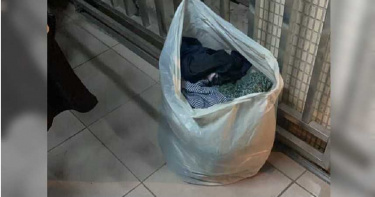 半夜門外「嘎嘎響」!夫妻抓包免錢仔…氣炸怒罵:30678