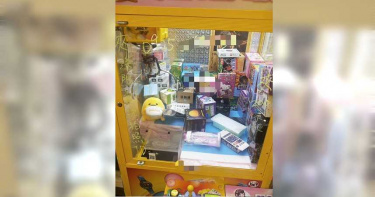 娃娃機台放女用按摩棒 台主被逮辯:離學校很遠