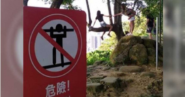 玩命! 熱褲辣妹為拍網美照劈腿攀樹跨護欄崖邊