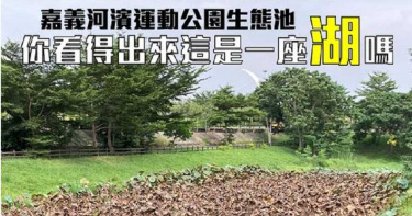 不知荷花秋天會淍謝 台灣基進發言狠批市府後惹笑網友