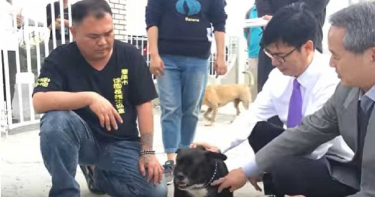 【戳破徐園長2】動保教父撞死人靠善款解決 志工大怒退出