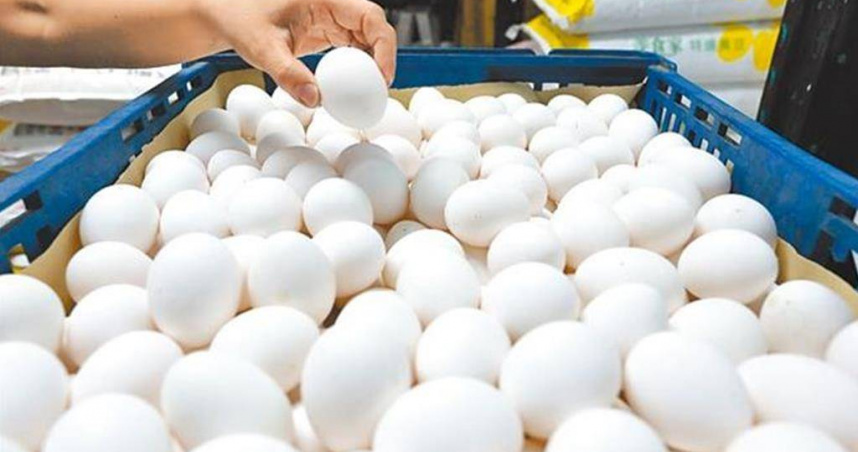 我國雞蛋產銷價已連續2周調漲，共調漲5元，目前產地每台斤27.5元、批發每台斤37元，雖然價格有所調漲，但由於是「產銷一起調」，因此價差9.5元的問題仍沒解決。（圖／報系資料照）