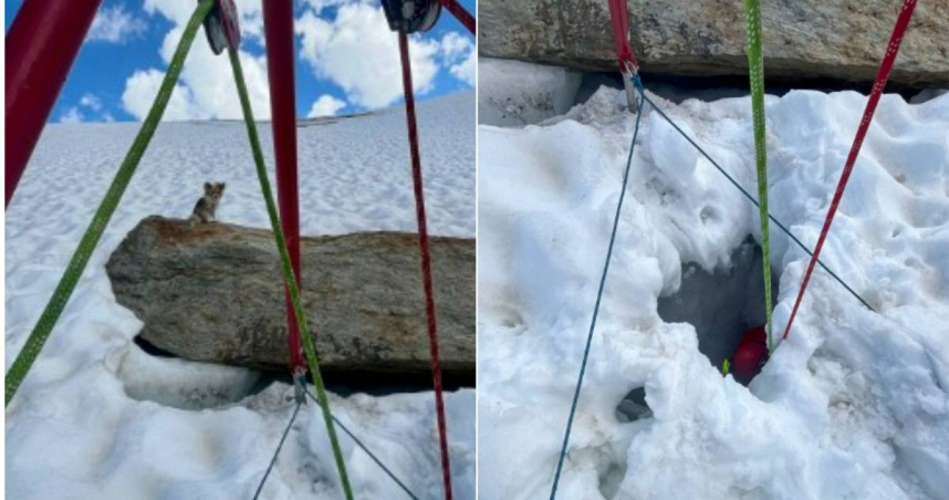 吉娃娃在主人跌落冰縫後守候在他身旁，讓搜救人員順利找到他們。（圖／翻攝Air Zermatt官網）