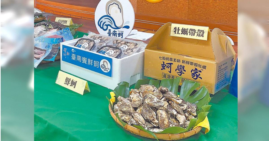 南部沿海的牡蠣受颱風重創減少，中秋烤肉的帶殼牡蠣價格上漲。（圖／中國時報郭良傑攝）