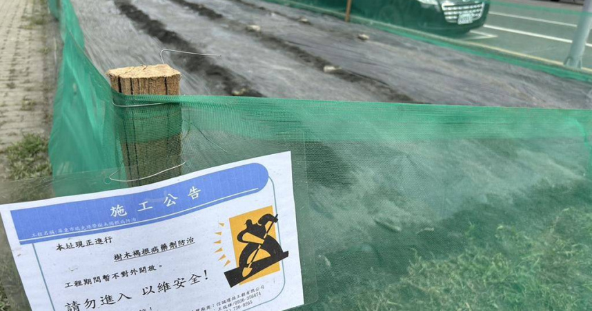 針對屏東市瑞光綠廊褐根病，近日屏東市公所啟動「分區試點整治計畫」，開挖近2公尺連根刨除2棵樹並將土壤殺菌，待有成效後將編列預算擴大整治。（圖／中國時報謝佳潾攝）