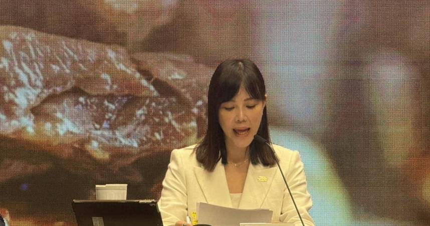 行政院發言人李慧芝說明補充保費制度尚在研議階段，政府強調不會為難小資族。(圖／報系資料照）