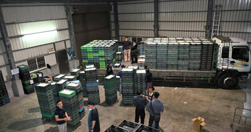 彰化縣政府在取得彰化地檢署同意後，昨晚漏夜將文雅畜牧場封存25萬多顆雞蛋全數銷毀。（圖／彰化縣政府提供）