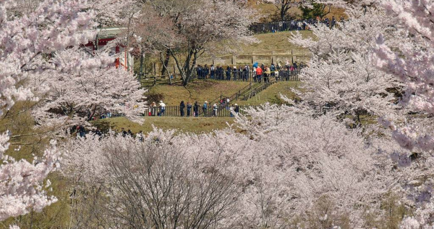 台灣人赴日旅遊買瘋，3個月總消費金額達3639億日圓。（圖／達志／美聯社）