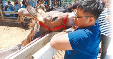 人驢情深 牧場離職員工2年後重遊被狂吻