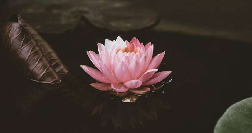 （示意圖／pixabay）