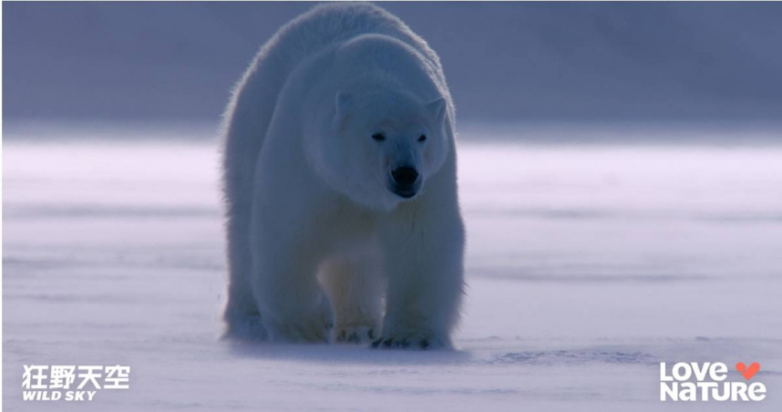 《狂野天空》在北美洲一探極地渦旋主導氣候，帶來極端天氣。（圖／杰德影音）