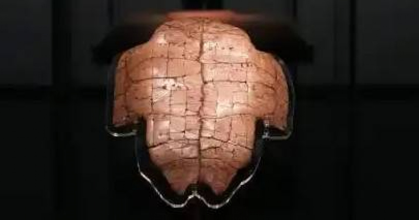 （圖／翻攝自微博）