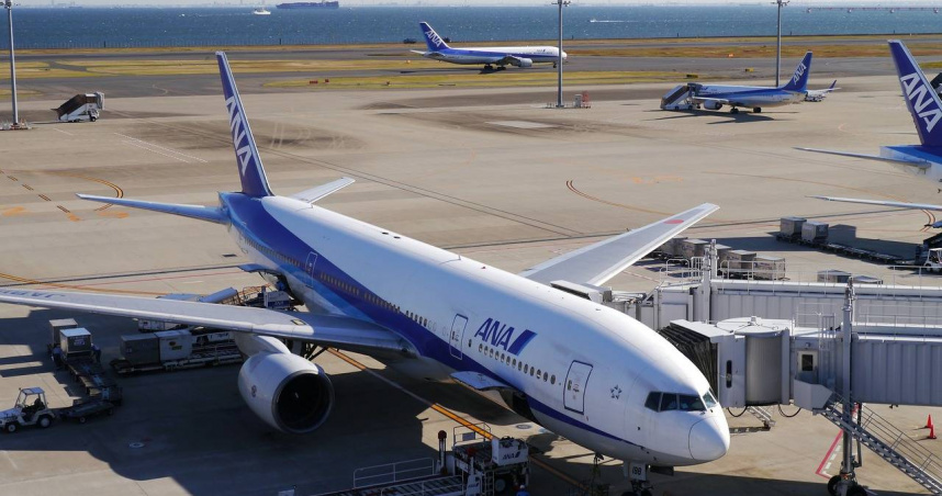 日本沖繩的那霸機場發生狗狗衝上跑道的事件。（示意圖／Pixabay）