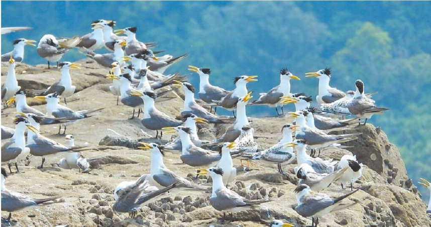 「海上看莒光」航線體驗，從海上視角欣賞馬祖島嶼景觀。（東莒船老大民宿提供／王揚傑連江傳真）