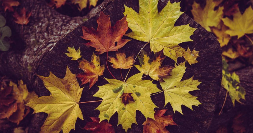 （示意圖／pixabay）