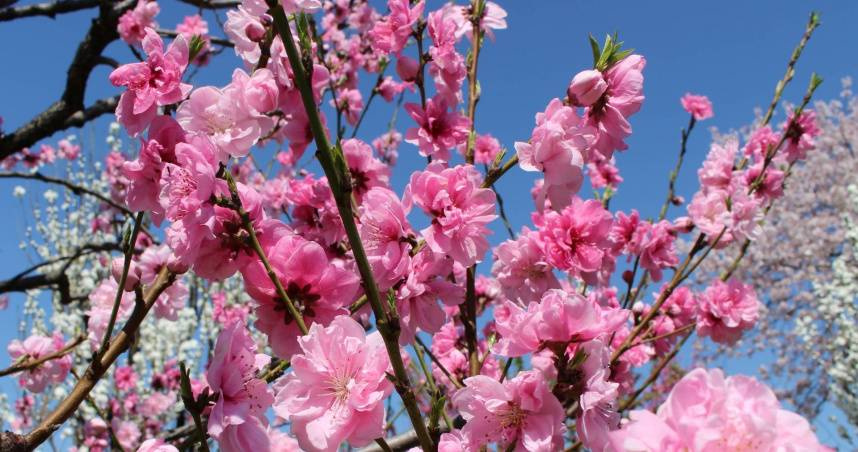 星座專家「清水孟國際塔羅篠安老師」分析，12星座3月22日至3月28日的運勢。（示意圖／photoAC）