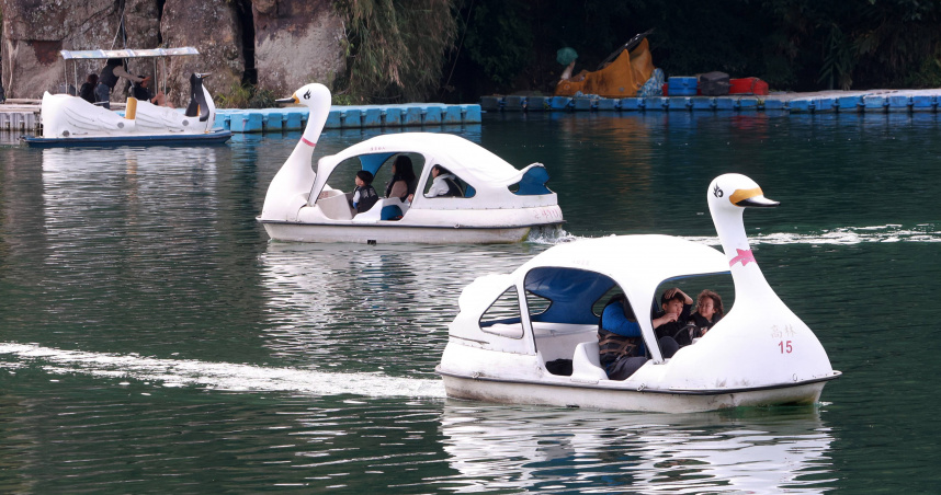 新北75歲婦「碧潭落水」送醫不治　家屬悲痛曝隱情