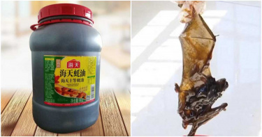 噁爆!桶裝蠔油快吃完 驚見「完整蝙蝠」沉甕底…全家吃了3個月