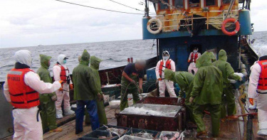 陸船越界捕撈2頓漁獲 海巡強力執法押返13人
