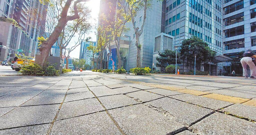 新北市政府前南面廣場周遭人行環境，因仍為老舊鋪面，並有鬆動及路樹竄根等問題，養工處預計4月動工改善。（陳慰慈攝）