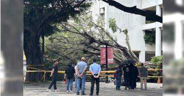 逢甲大學6月發生校樹倒塌壓死學生案，家屬指控校方向以意外結案，校方則澄清並未如此主張。（圖／報系資料照）