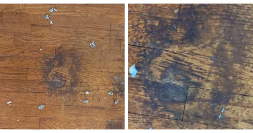 房仲在出租屋翻修時，意外發現前屋主死亡後留下的手臂與手掌印痕。（圖／翻攝自TikTok，snyderrealestategroup_ia）