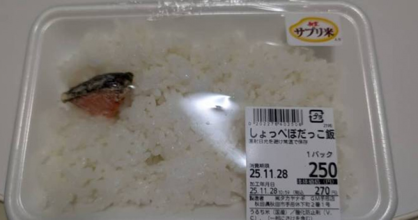 日本秋田縣在地名物便當「ぼだっこ飯」近日在社群平台掀起話題。（圖／翻攝自X，@tamsco274）