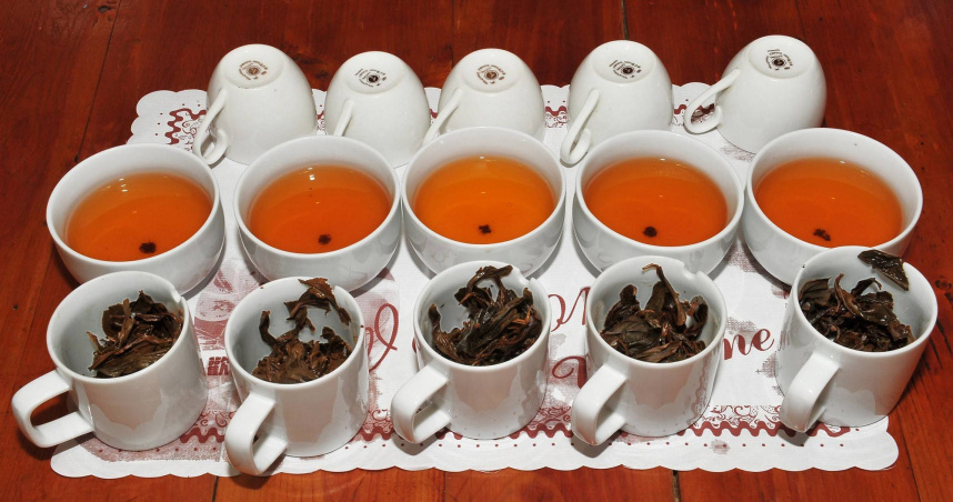 香茶巷內林立著大大小小的民間茶場與紅茶屋，圖為和果森林。（圖／吳德亮攝影）