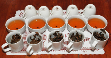 香茶巷內林立著大大小小的民間茶場與紅茶屋，圖為和果森林。（圖／吳德亮攝影）