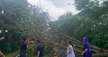 午後暴雨炸全台 女騎士遭倒塌路樹壓死